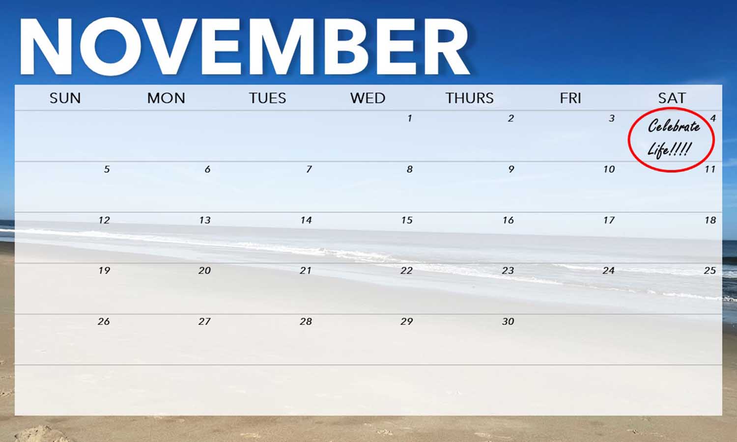 Local Woman Hit By Bus (Part&nbsp;3)