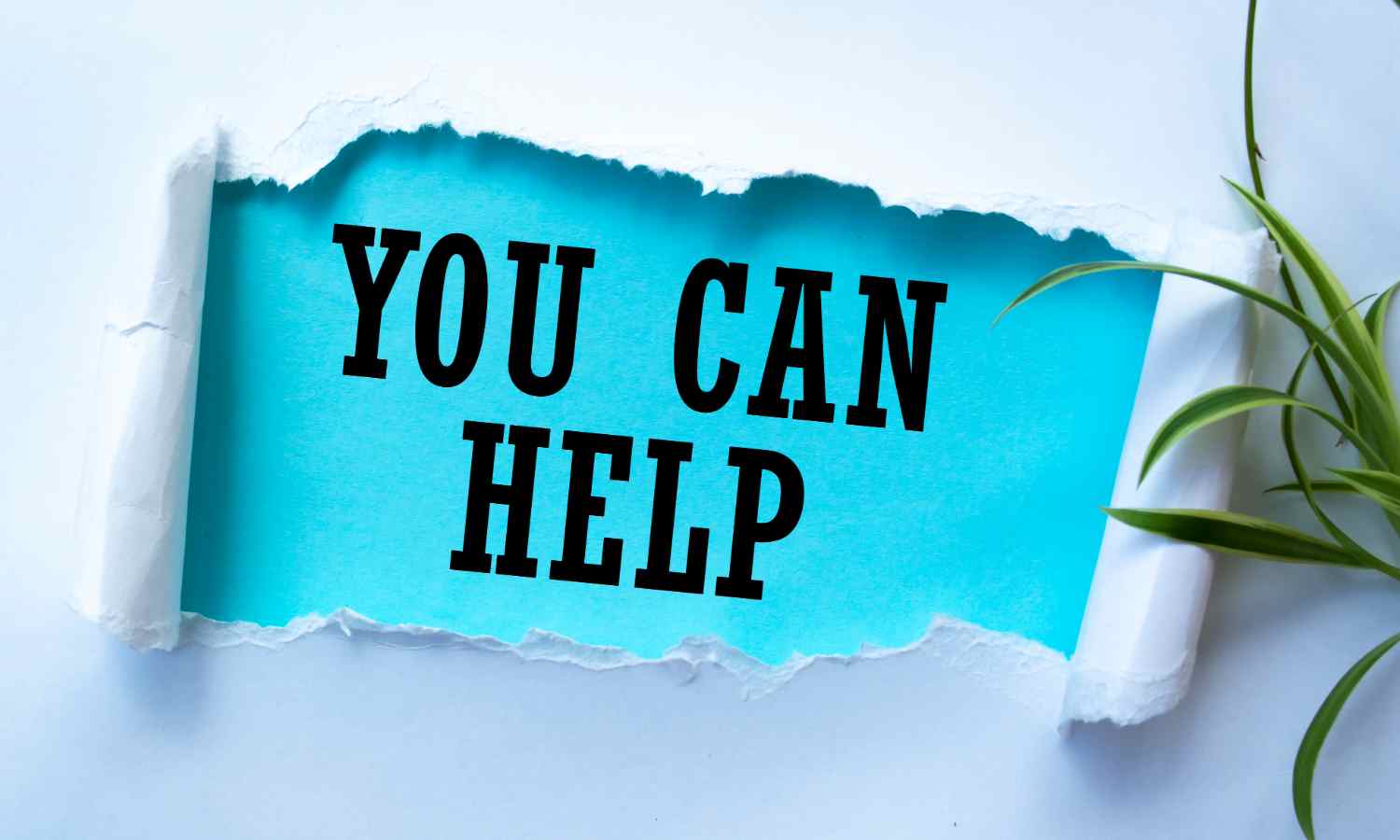 National Volunteer Week