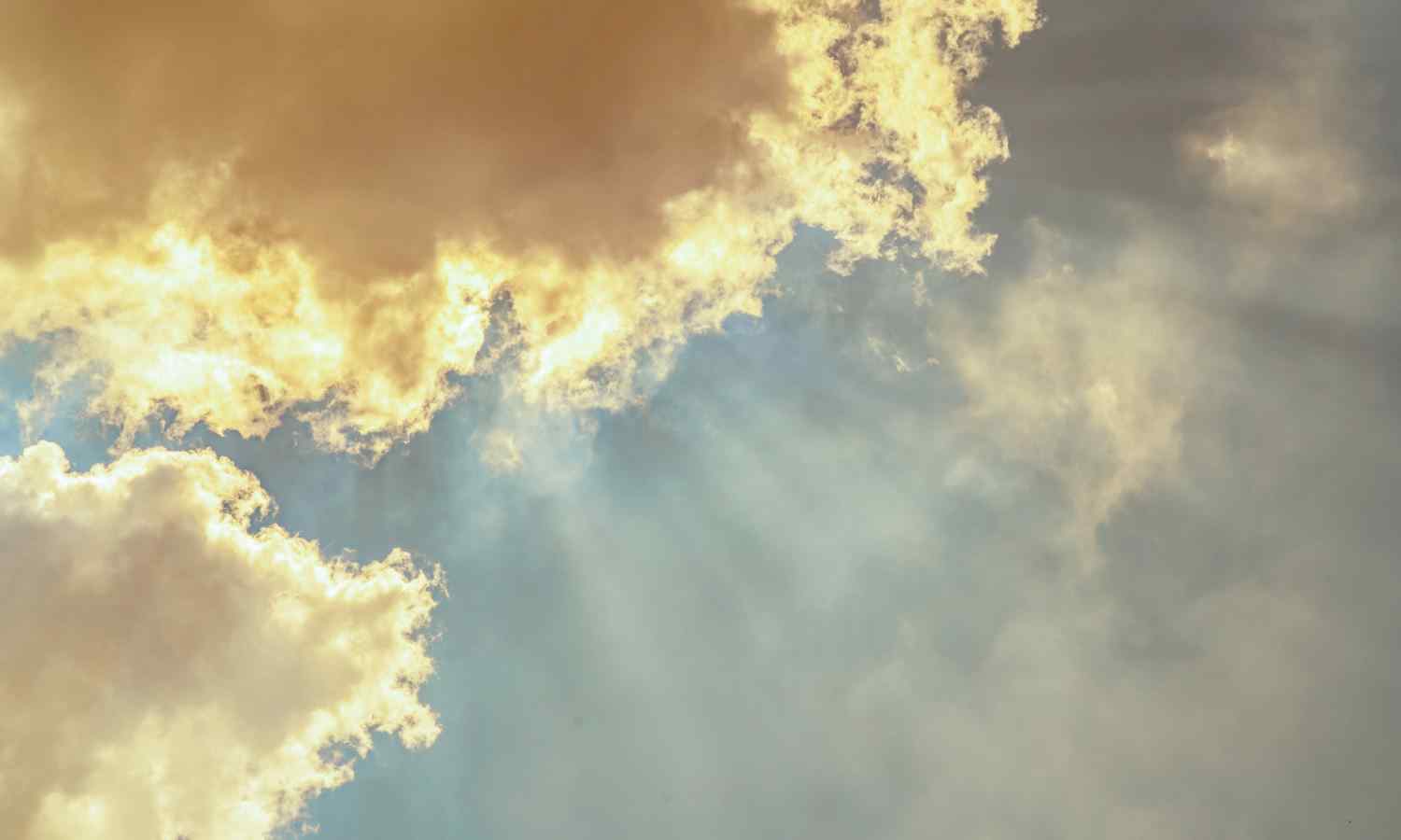 Silver Linings of Being Hit by a Bus (Part 3)