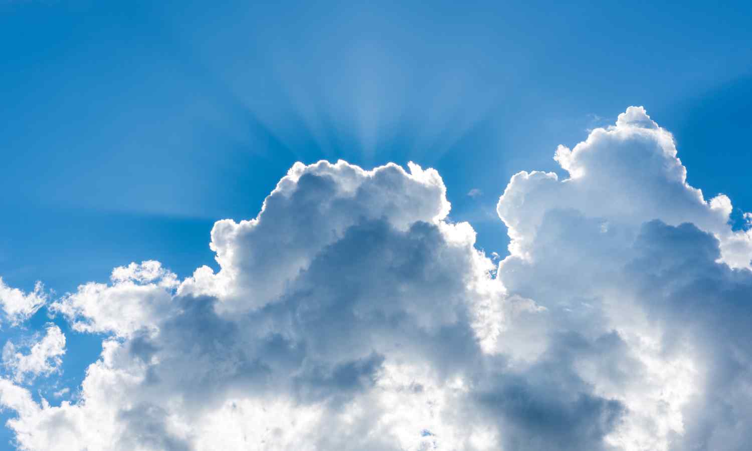 Silver Linings of Being Hit by a Bus (Part&nbsp;2)